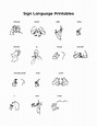 american sign language ~ lesson 1 | Language Exchange Amino