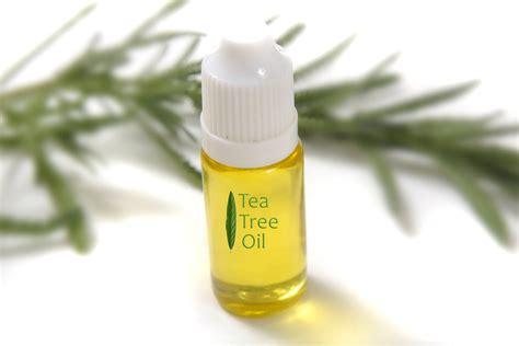 Tea tree oil is a natural antiseptic is extracted from the leaves of an indigenous australian tree known as melaleuca alternifolia. 5 Oils For Skin You Should Be Using