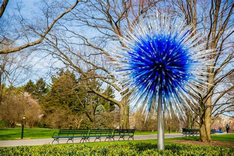 Chihuly Complements And Sometimes Competes With Nature At New York
