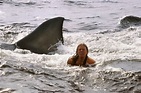 Foto zum Film Der weiße Hai 2 - Bild 6 auf 12 - FILMSTARTS.de