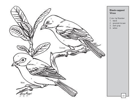 Download or print this coloring page in one click: Bird coloring pages, Coloring pages, Bird coloring