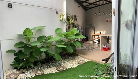 Sempit Taman Belakang Rumah Minimalis Homecare