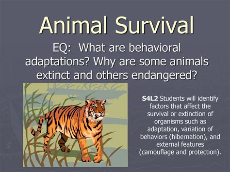 Top 128 Animal Survival Behaviors