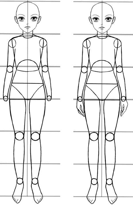 An Easy Anime Body Proportions Tutorial Manga Tuts Dibujo Mujer