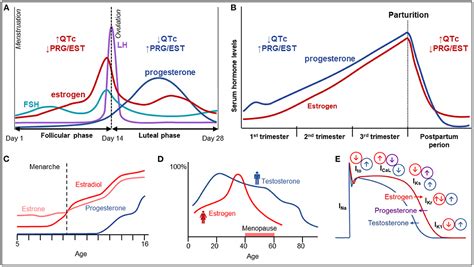 frontiers sex related differences in incidence phenotype and risk of sudden cardiac death in