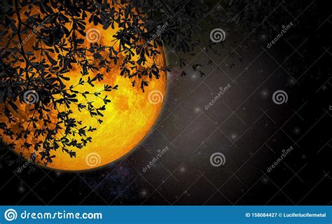 Romantic Night Sky With Large Moon Orange Color Beautiful