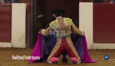 Matador Is Tossed Around Ring After Kg Bull S Horn Gets Stuck In His Armpit World News