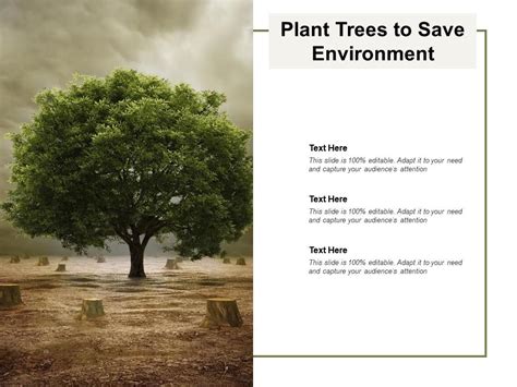 Plant Trees To Save Environment Powerpoint Slide Templates Download