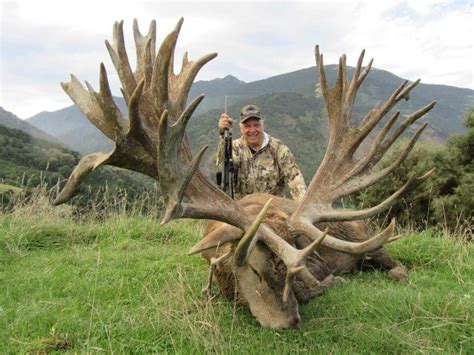 New Zealand Red Stag Hunting South Pacific Safaris
