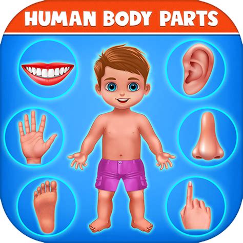 Human Body Parts Preschool Kids Learning