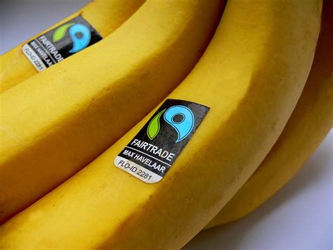 Fairtrade Reflects Peoples Personal Values Sustain