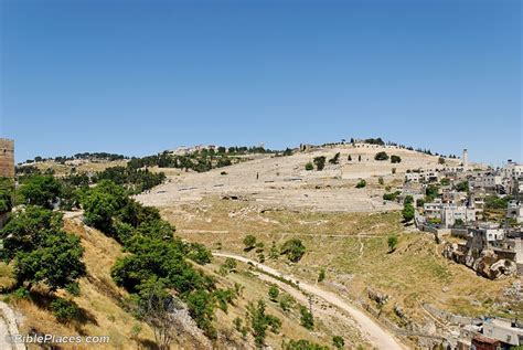 Mount Of Olives National Park