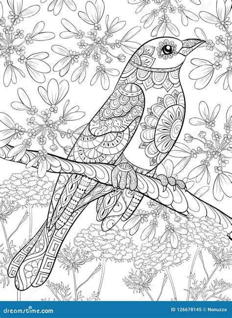 Adult Coloring Bookpage A Cute Bird For Relaxingzen Art Style