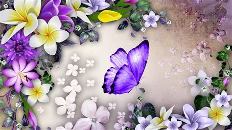 Butterfly And Flower Wallpaper Wallpapersafari