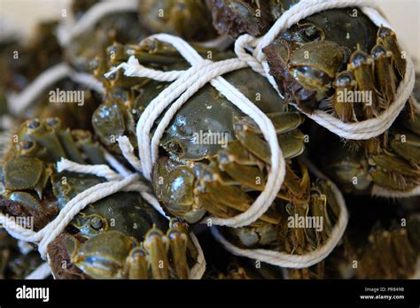 Photo Taken On Sept 29 2018 Shows Hairy Crabs For Sale On Yangcheng Lake In Bacheng Township