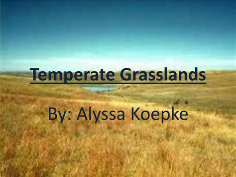 Ppt Temperate Grasslands Powerpoint Presentation Free Download Id