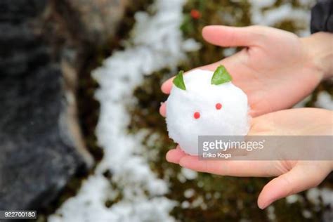 Japan Garden Snow Photos And Premium High Res Pictures Getty Images