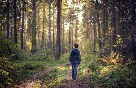 Caucasian Boy Wandering In Forest Stock Photo Dissolve