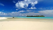 Honeymoon Island (34.000+ views!!!) | Honeymoon Island is pa… | Flickr