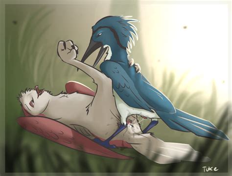 Rule 34 2015 Ambiguous Gender Animal Genitalia Avian Bird Blue