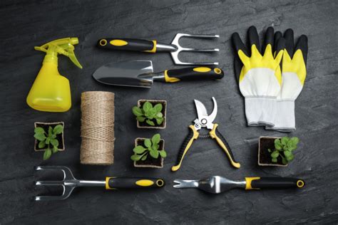 12 Best Gardening Tools That Most Gardeners Overlook