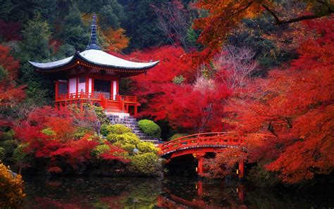 21 Things That Will Make You Fall In Love With Kyoto Japan Kyoto
