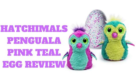 hatchimals penguala pink teal egg review youtube