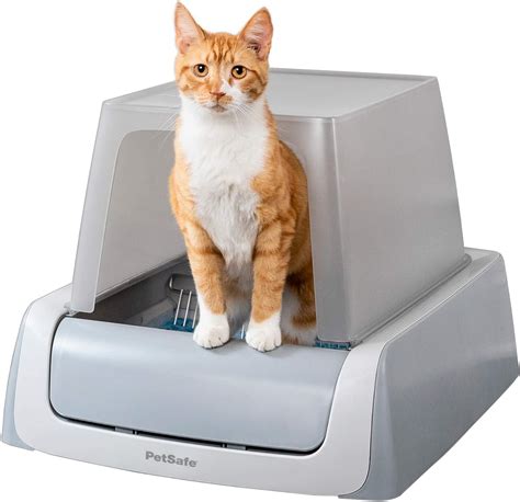 How Self Cleaning Cat Litter Boxes Work Celestialpets