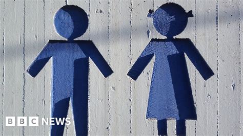 Fears Of Legal Threat To More Gender Equal Senedd Plans
