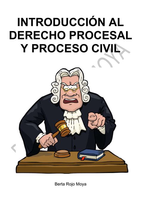 Apuntes Derecho Procesal Civil INTRODUCCIÓN AL DERECHO PROCESAL Y