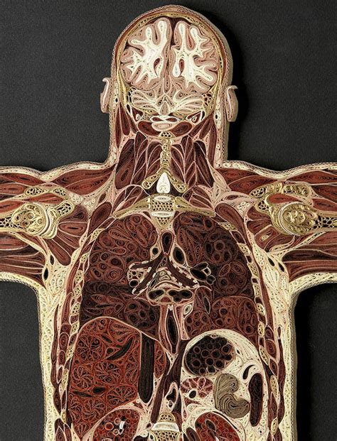 Paper Artist Lisa Nilssons Anatomical Art Work