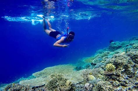 Raja Ampat Island Snorkeling Experiences I Indonesia Impression