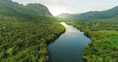 Aerial View Of River In Tropical Green Forest With Mountains In