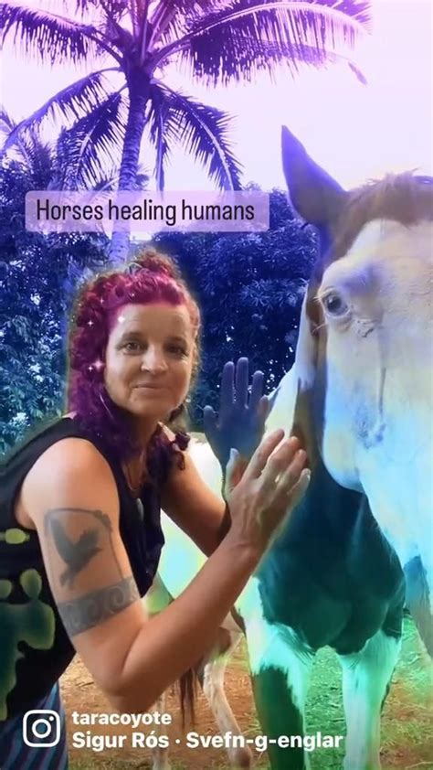 The Healing Power Of Horses Equine Facilitated Learning Efl In 2022