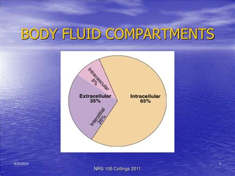 Degugl Blogg Se Body Fluid Compartments Measurement Chemicals