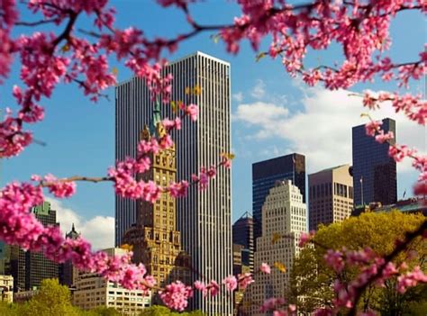 Spring And Summer In New York New York Seasons New York Weather