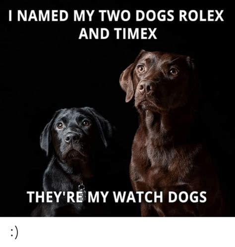 I Named My Two Dogs Rolex And Timex Theyre My Watch Dogs Dogs Meme