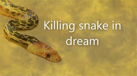 34 Snake Bite In Dream Astrology Astrology Today