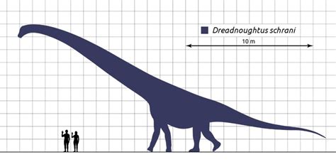 Top 10 Biggest Dinosaurs Ever Argentinosaurus Is The Biggest One