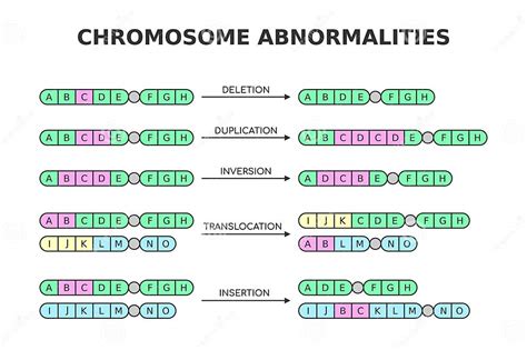 Chromosomal Abnormalities Deletion Duplication Inversion