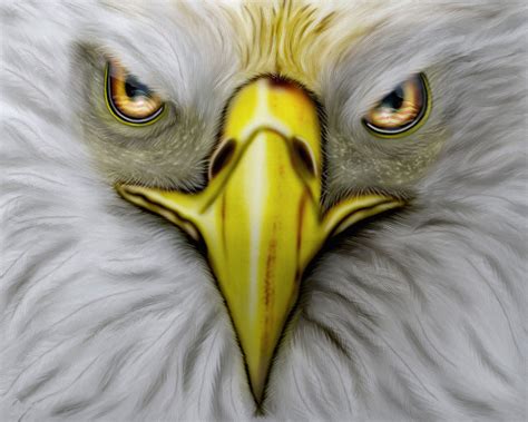 The American Bald Eagle Usa Flag Co