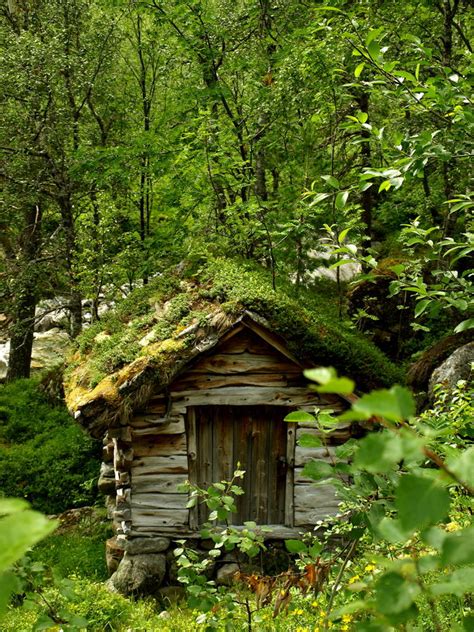 Das waldhotel wilhelmshöhe liegt verkehrsgünstig im westen von freudenberg, unweit der autobahn 45 zwischen bewertungen zu siegerland haus im walde. Kleines Haus im Wald Foto & Bild | landschaft, rückkehr ...