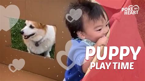 Puppy Play Time! - YouTube