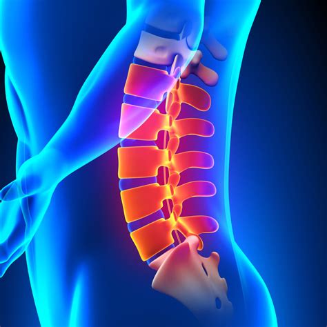 Lumbar Spine Anatomy Pain Concept Advanced Pain Management And Rehab