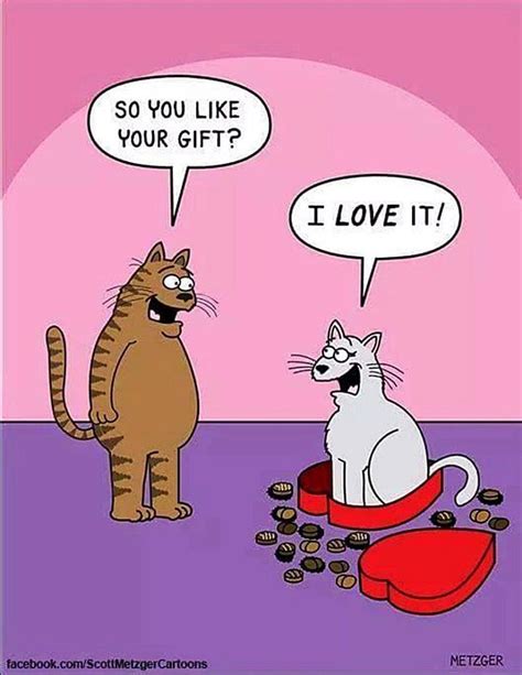 Hilarious Cat Comics