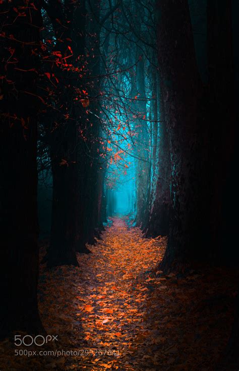Path By Sejmenovicmevludin Autumn Inspiration Beautiful Landscapes