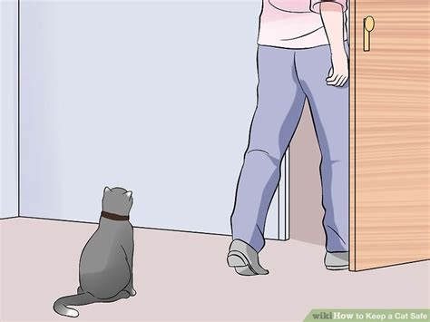 3 Ways To Keep A Cat Safe Wikihow