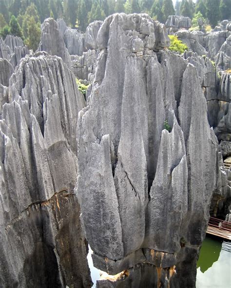 The Chinese Stone Forest