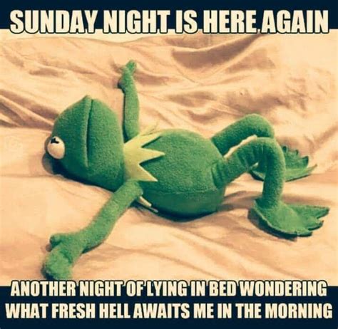 Sunday Night Kermit 9gag Funny Funny Kermit Memes Funny Jokes