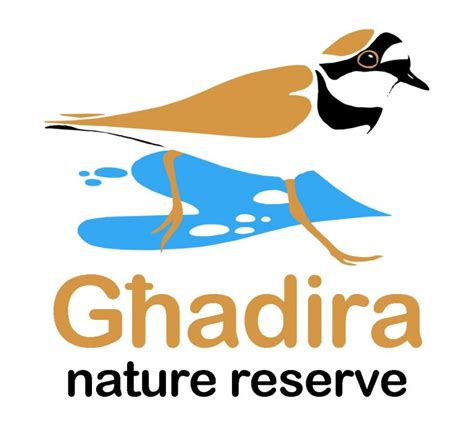 Għadira Nature Reserve Birdlife Malta